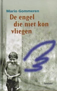 DE ENGEL DIE NIET KON VLIEGEN.jpg