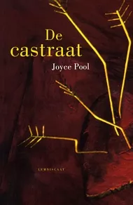 DeCastraat_pluizer.jpg