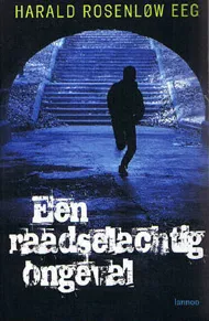 EEN RAADSELACHTIG ONGEVAL.JPG