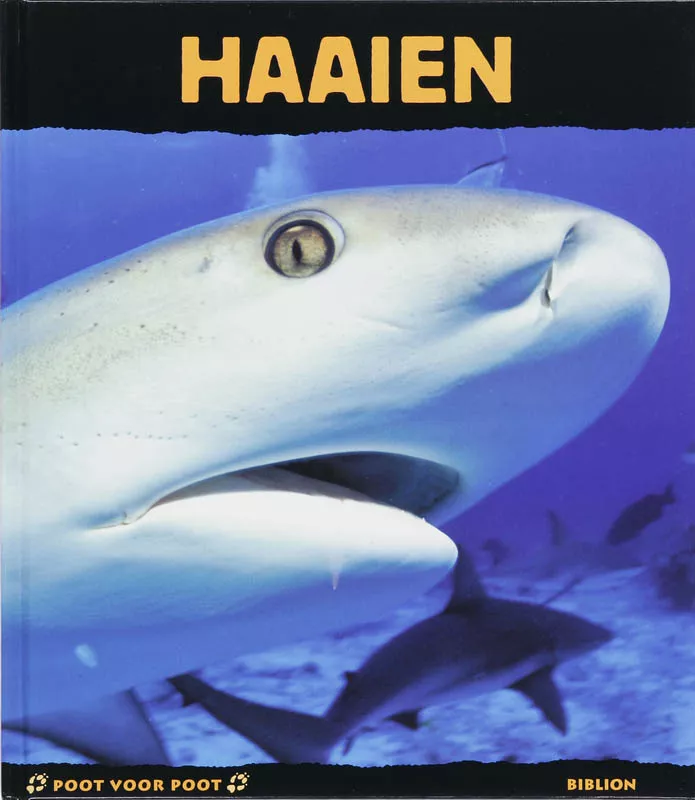 Haaien.jpg