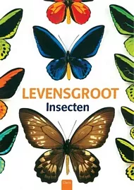 Levensgroot_pluizer.jpg