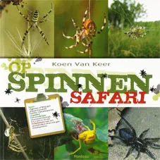 OP SPINNENSAFARI.jpg