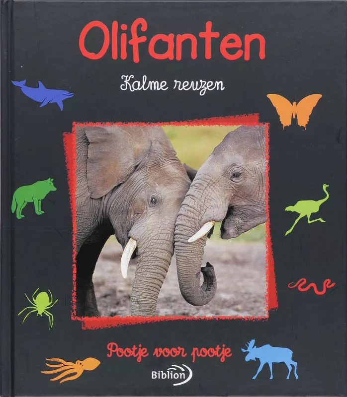 Olifanten.jpg