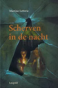 SCHERVEN IN DE NACHT.jpg