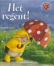 pluizer_Het_regent_.jpg