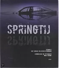 pluizer_Springtij.jpg
