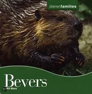 pluizer_bevers.jpg