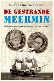 pluizer_gestrandemeermin.jpg