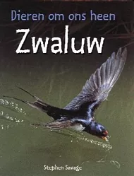 pluizer_zwaluw.jpg