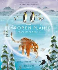 Bevroren_planeet.jpg