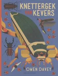 Knettergek_kevers.jpg