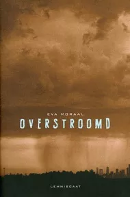 Overstroomd_pluizer.jpg