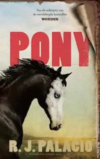 Pony.jpg