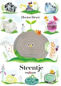 Steentje.jpg