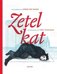 Zetelkat_pluizer.jpg