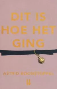dit_is_hoe_het_ging.jpg