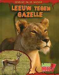 leeuwtegengazelle_pluizer.jpg