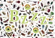 pluizer_Bzzz.jpg