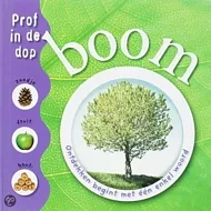 pluizer_boom.jpg