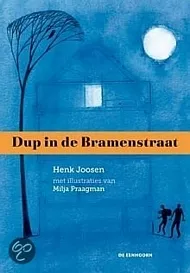 pluizer_dupbramerstraat.jpg