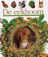 pluizer_eekhoorn.jpg