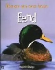 pluizer_eend.jpg