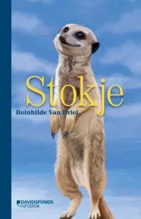 stokje.jpg